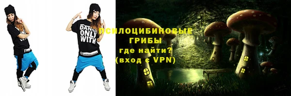 индика Белоозёрский