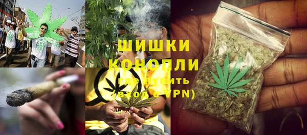 индика Белоозёрский