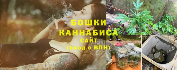 индика Белоозёрский