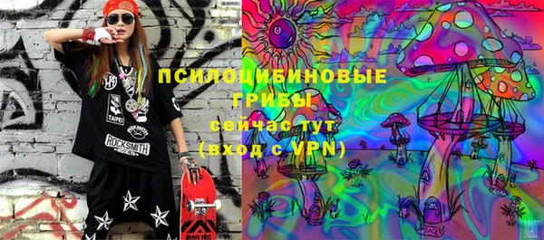 ПСИЛОЦИБИНОВЫЕ ГРИБЫ Белокуриха
