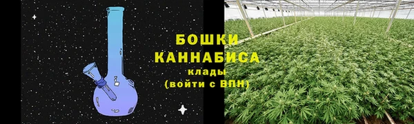 индика Белоозёрский