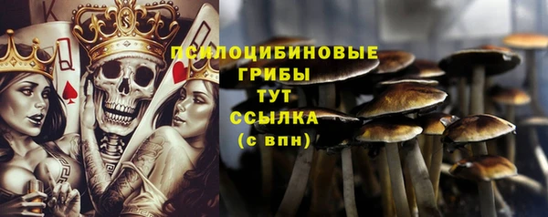 индика Белоозёрский