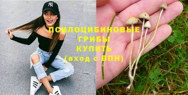 индика Белоозёрский