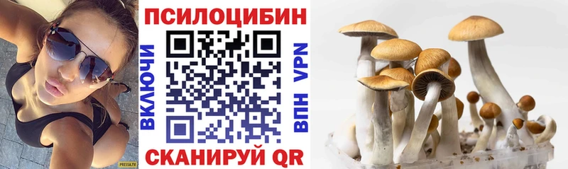 Псилоцибиновые грибы Psilocybine cubensis  Купить где  Починок 